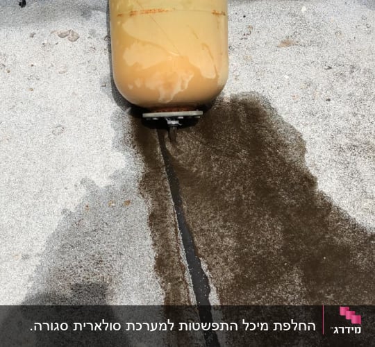 לפני